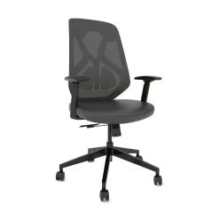 Roswell Ergonomic Task Chair with Modern Design-Black/Grey