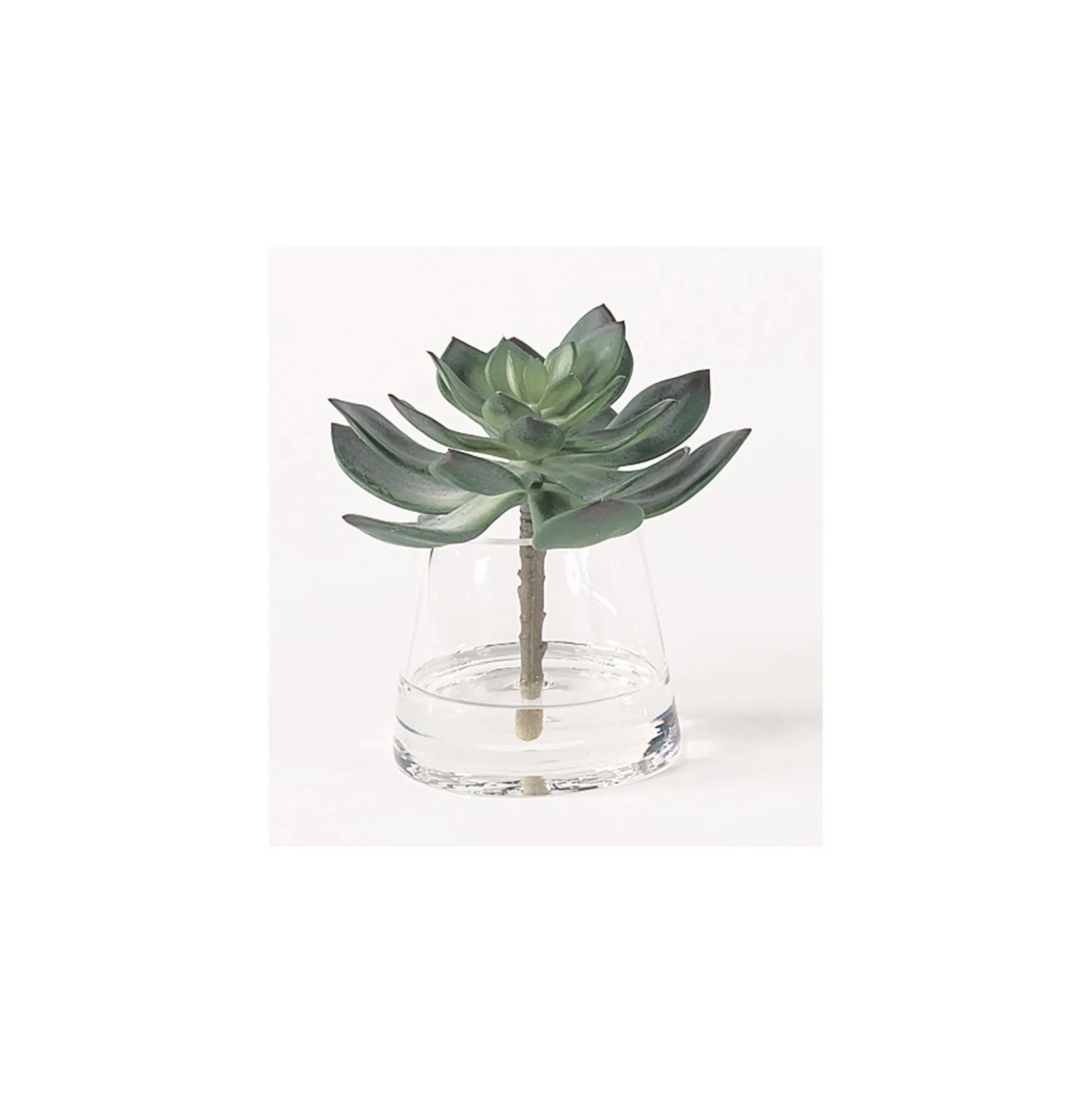 Sage Succulent Accent - 7"