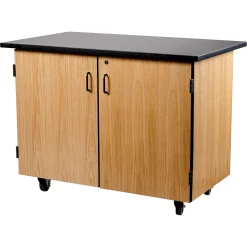 Science Lab Cabinet with Tote Trays