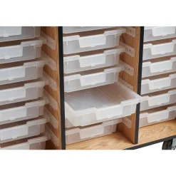 Science Lab Cabinet with Tote Trays