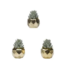 Set of 3 - Flocked Aloe in Antique Gold Ceramic Planter