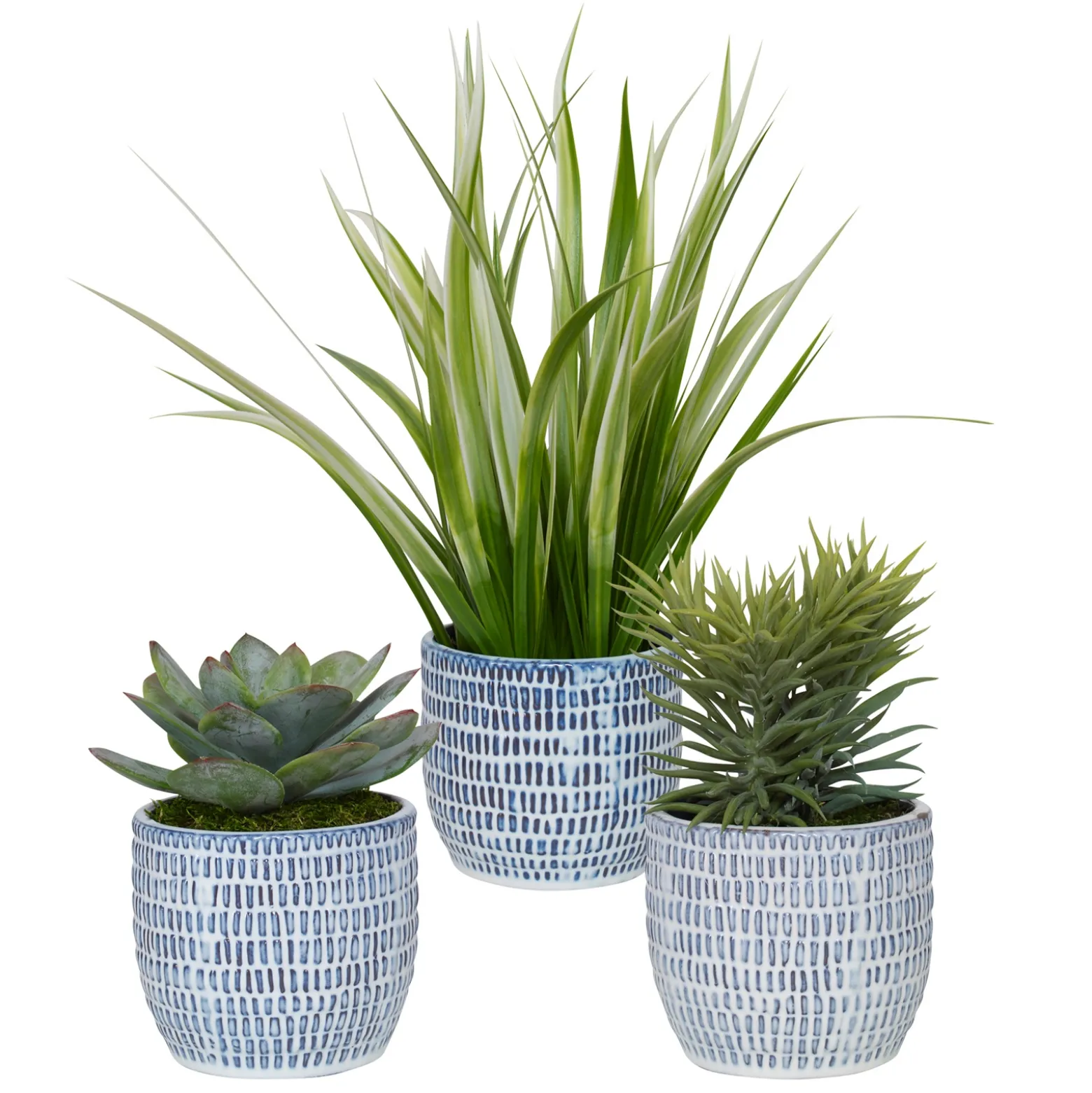 Shrub Decorative Pots, Set of Three