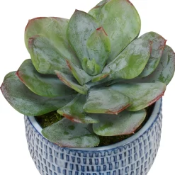 Shrub Decorative Pots, Set of Three