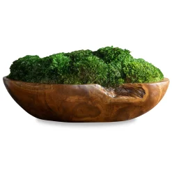 Signature Accents Artificial Plants Moss Centerpiece in Teak Bowl-19x9x7