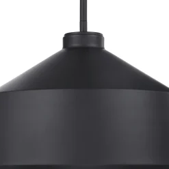 Signature Accents Domed Pendant Light