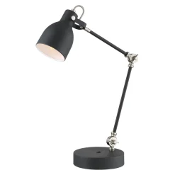 Signature Accents Two Shaft Desk Lamp