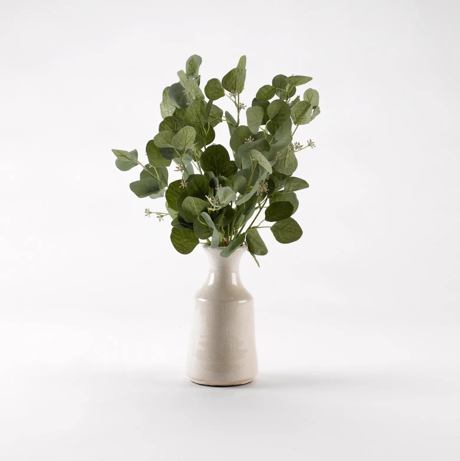 Silver Dollar Eucalyptus Branches in White Ceramic Bottle