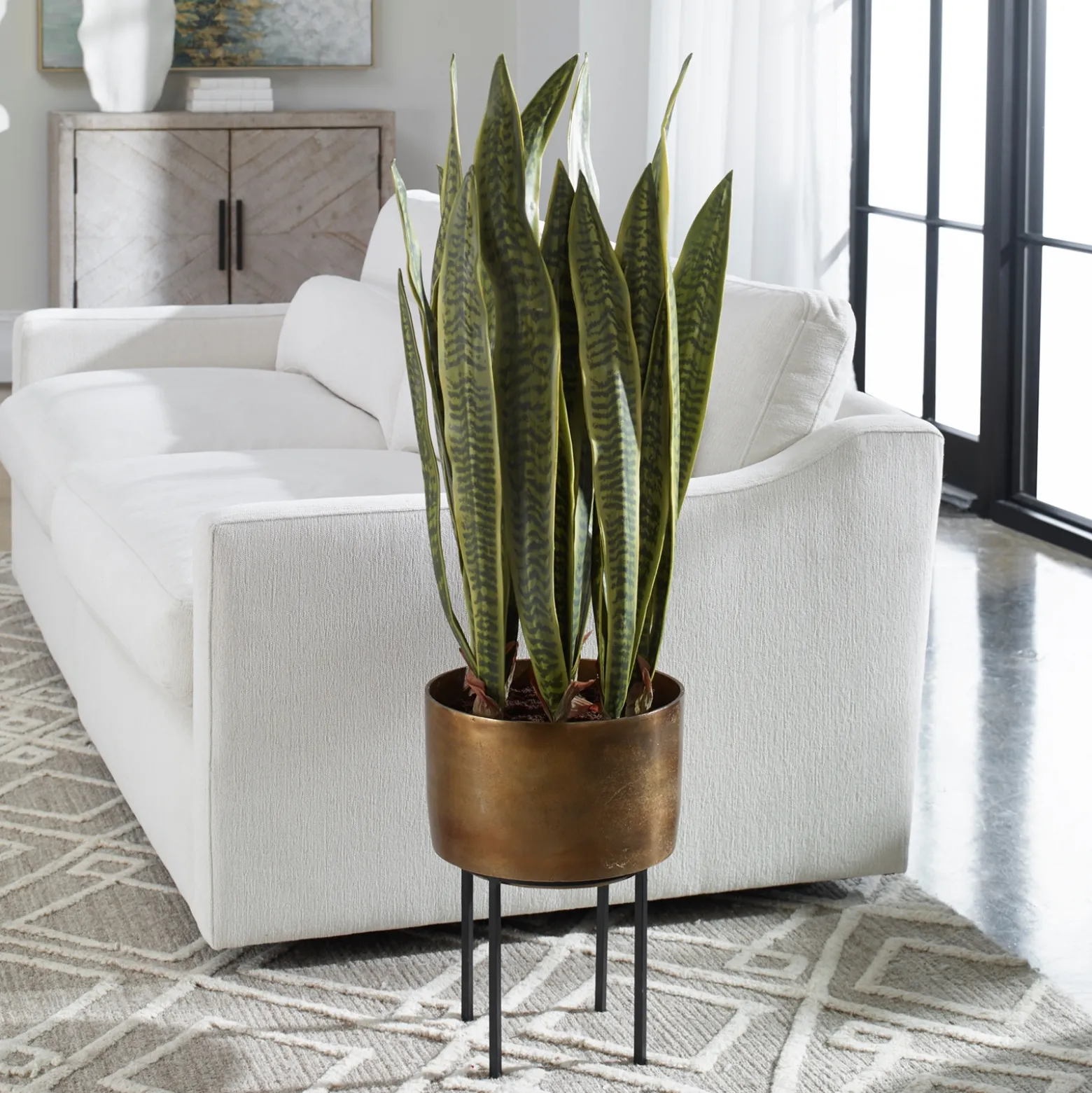 Snake Plant in Brass Planter