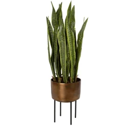 Snake Plant in Brass Planter