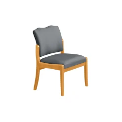 Spencer Side Chair in Solid Fabric