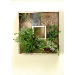 Square Wooden Shadow Box with Mixed Fern and Succulents