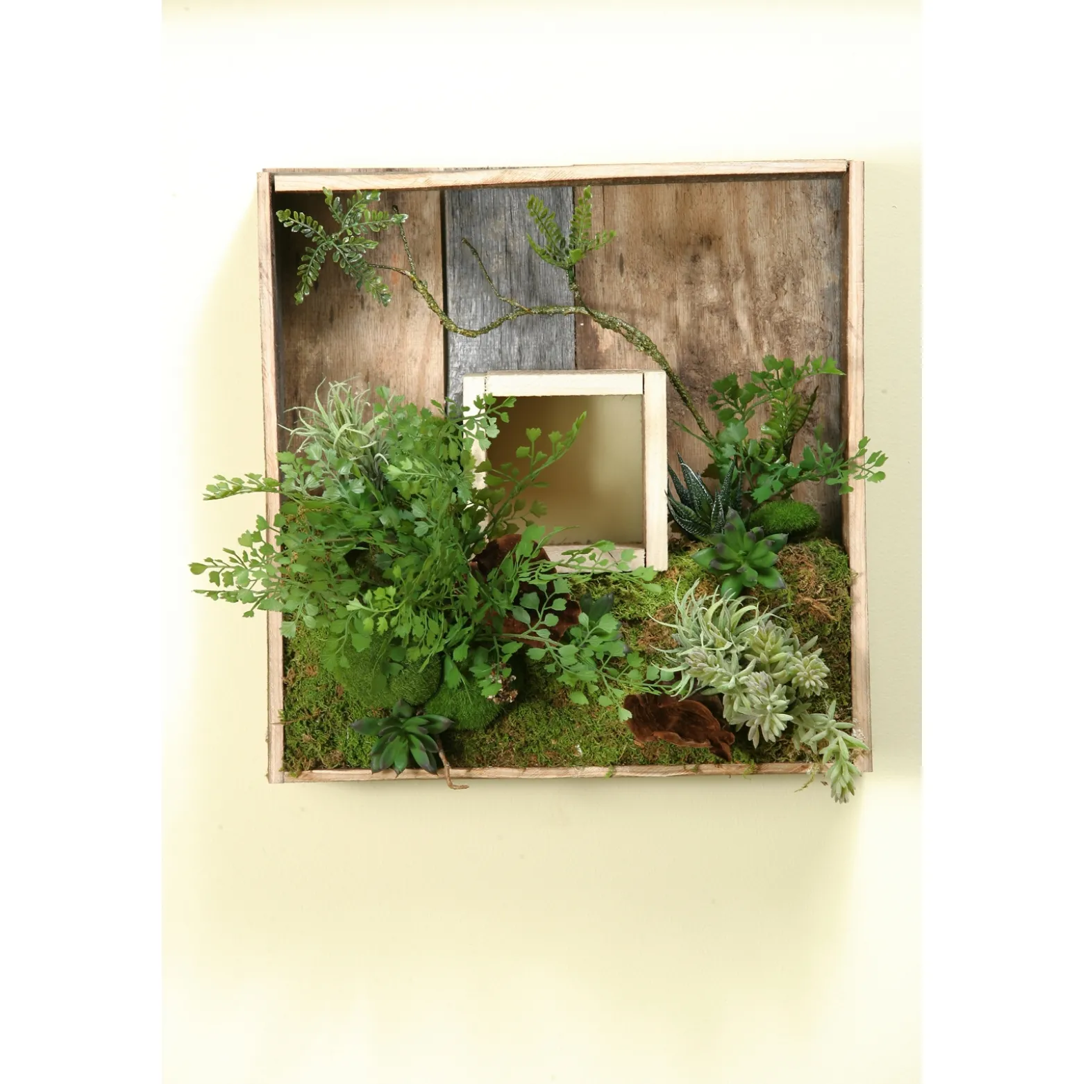 Square Wooden Shadow Box with Mixed Fern and Succulents