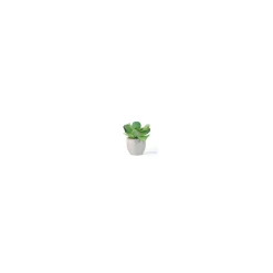 Succulent Accent - 11"