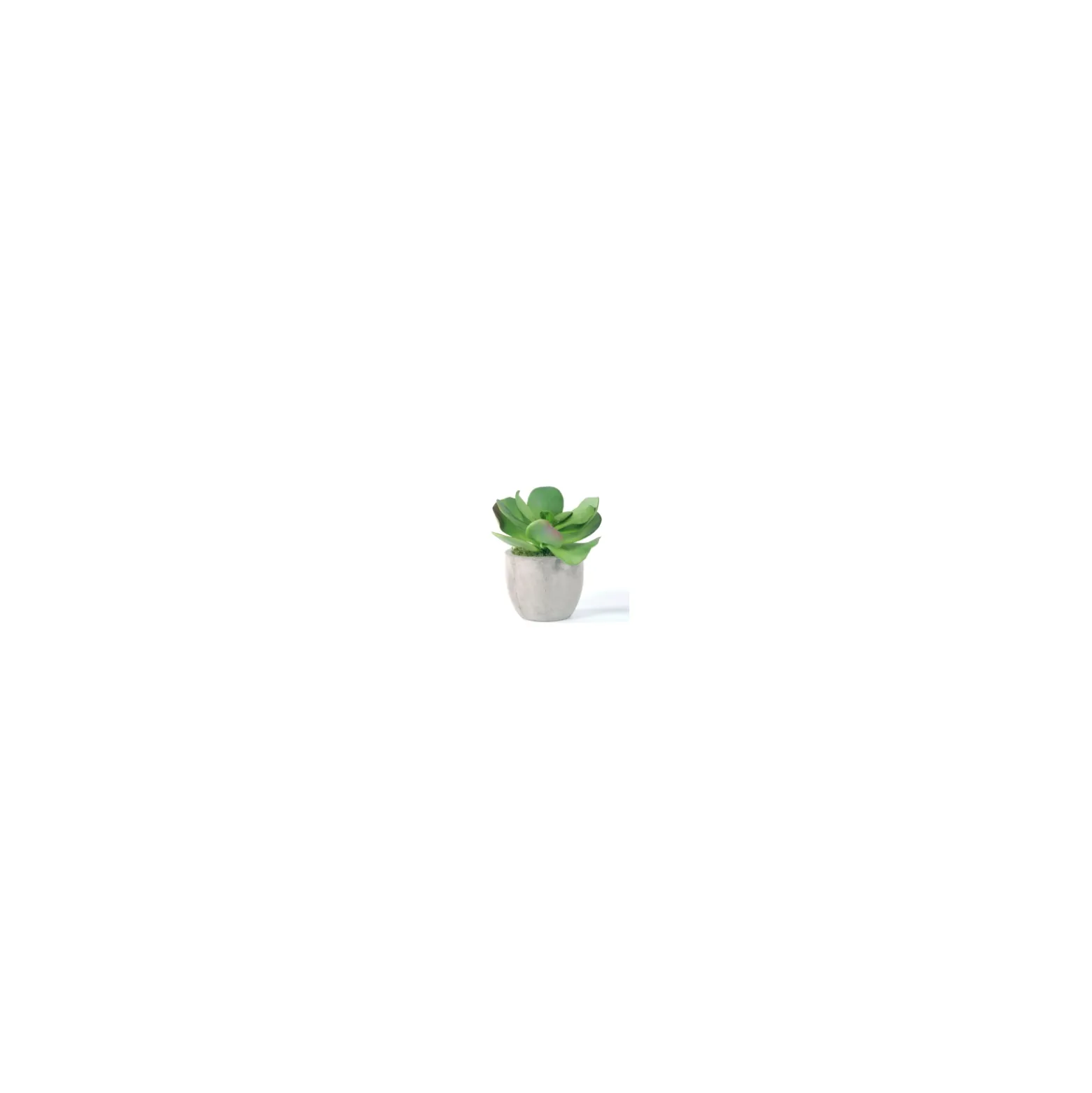 Succulent Accent - 11"