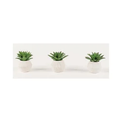 Succulent Accents - Set of Three