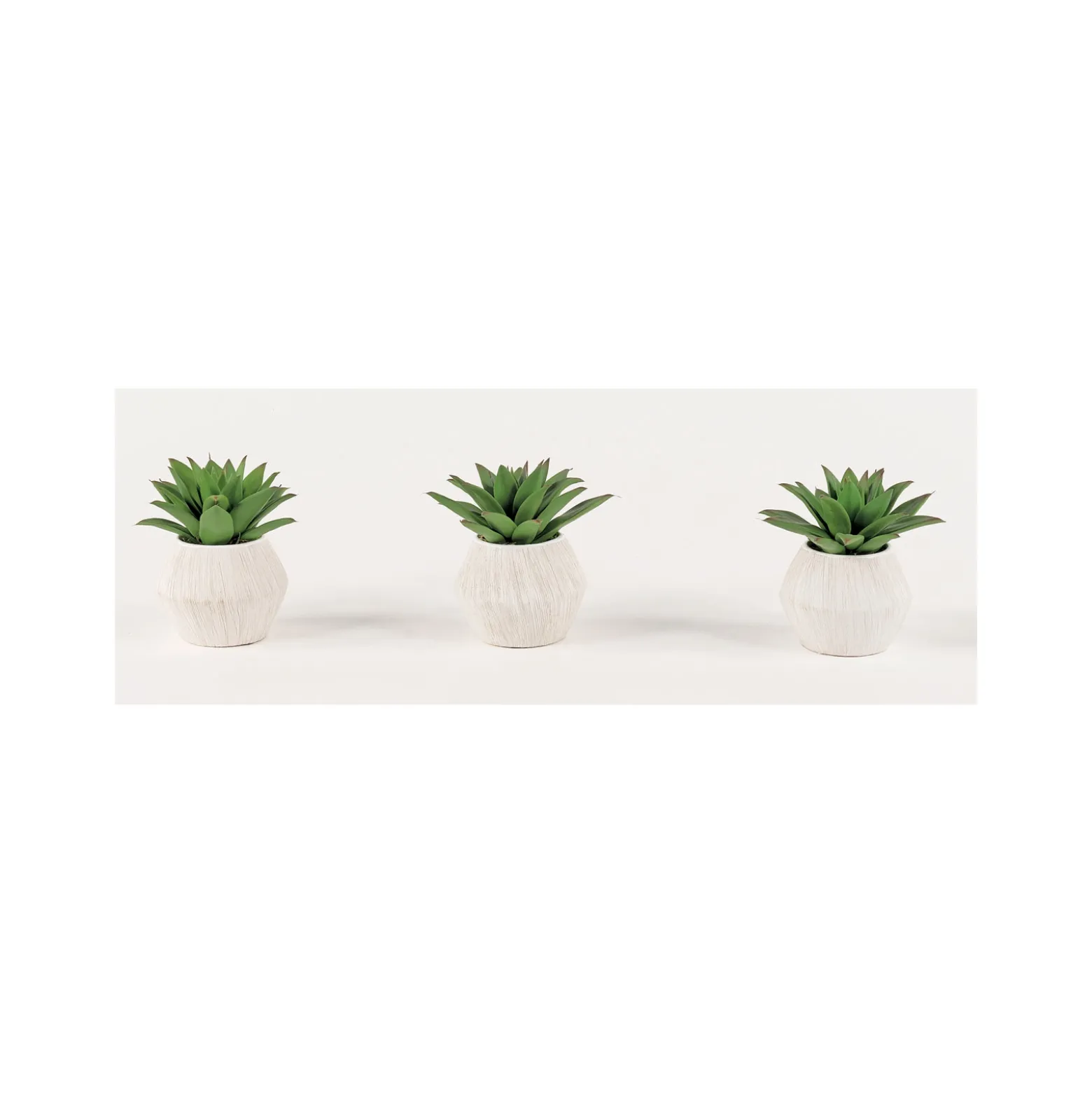 Succulent Accents - Set of Three