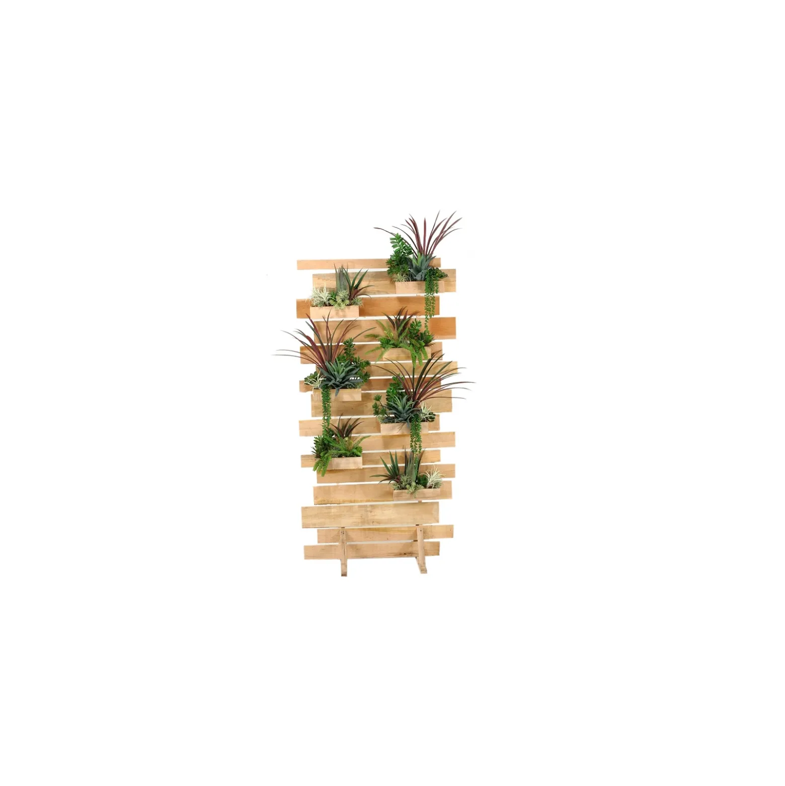 Succulent Living Wall