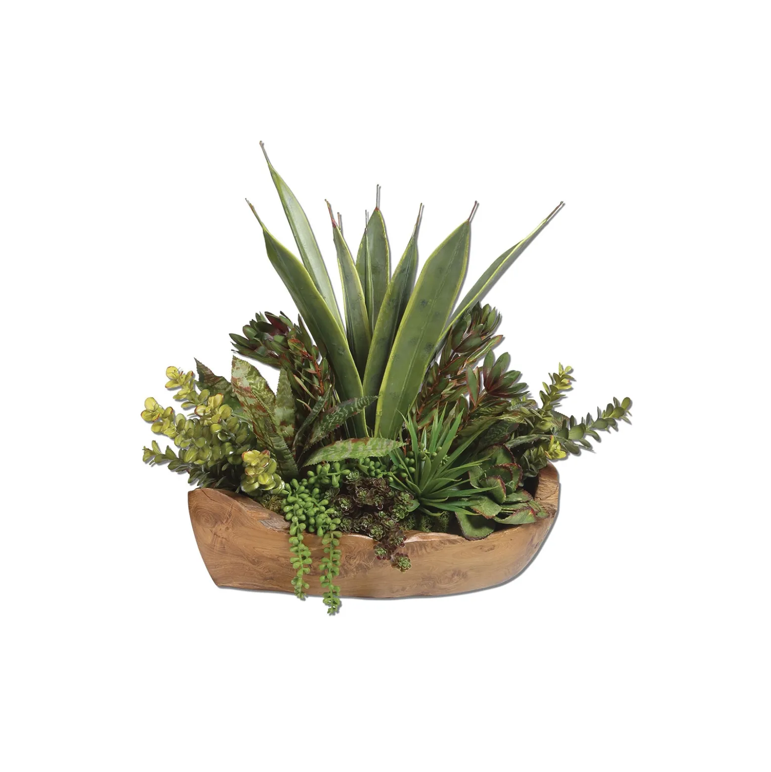 Succulents Centerpiece in Teak Bowl