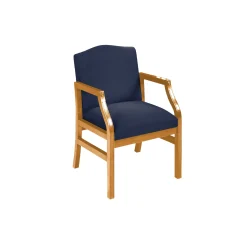 Traditional Guest Chair in Standard Upholstery