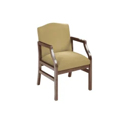 Traditional Guest Chair in Standard Upholstery