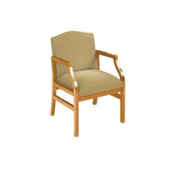 Traditional Guest Chair in Standard Upholstery