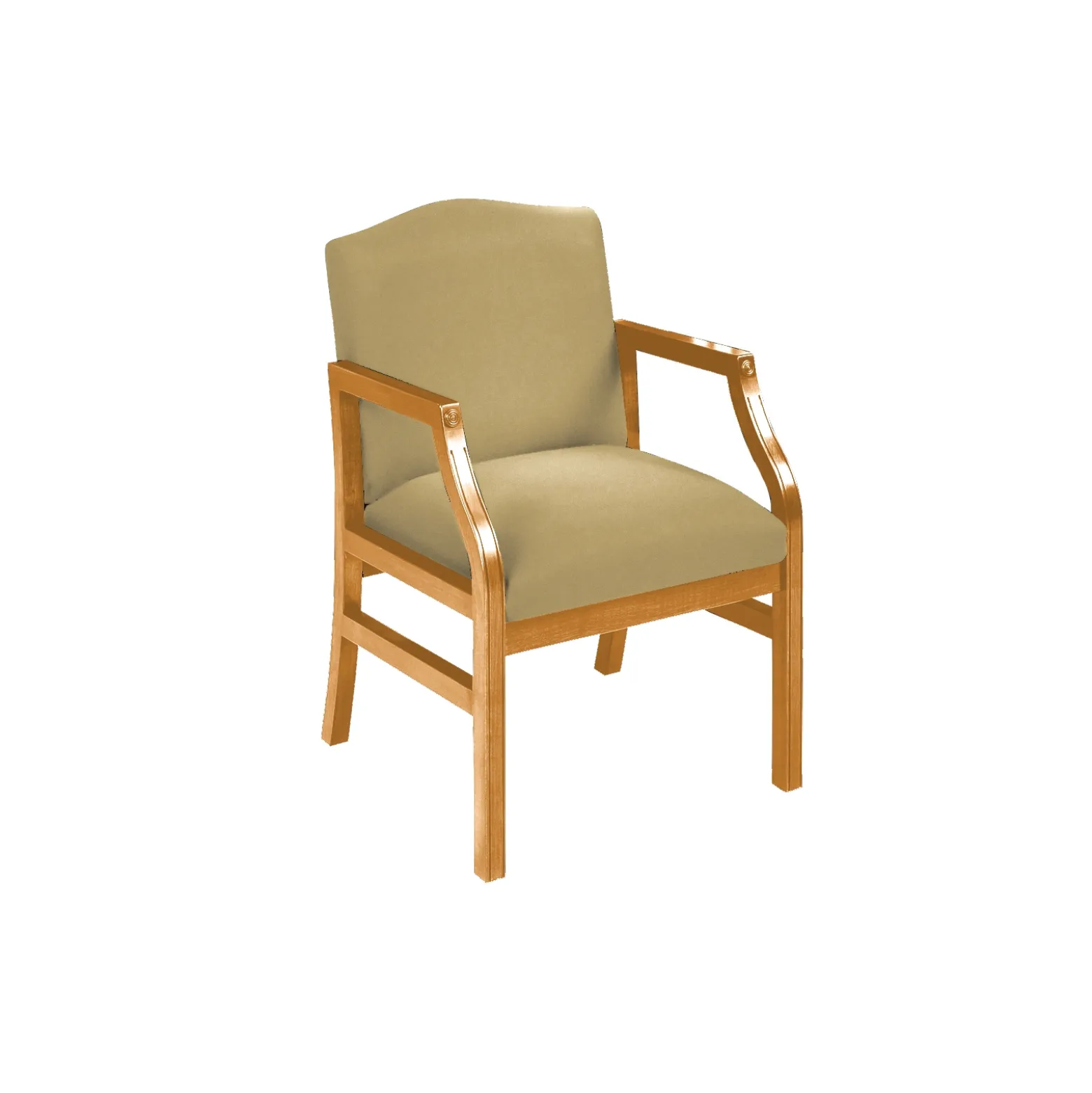 Traditional Guest Chair in Standard Upholstery