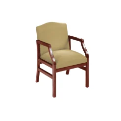 Traditional Guest Chair in Standard Upholstery