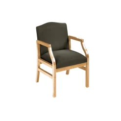 Traditional Guest Chair in Standard Upholstery