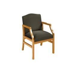 Traditional Guest Chair in Standard Upholstery