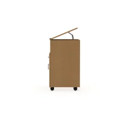 Traditional Mobile Teachers Lectern