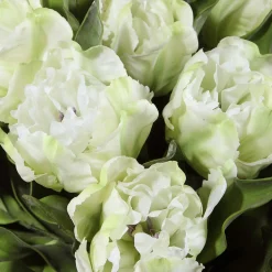Tulip Centerpiece