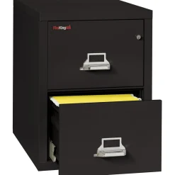 Two Drawer Fireproof Legal Size Vertical File - 31