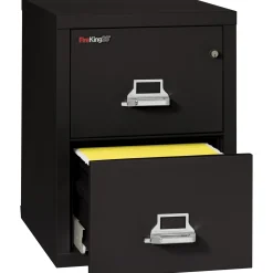 Two Drawer Fireproof Legal Size Vertical File - 25