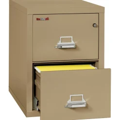 Two Drawer Fireproof Letter Size Vertical File - 31