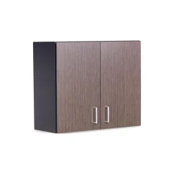 Upper Wall Mounted Two Door Storage Cabinet