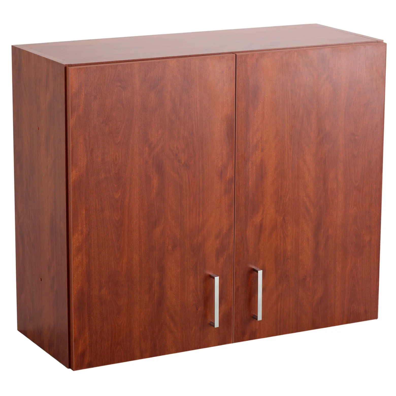 Upper Wall Mounted Two Door Storage Cabinet