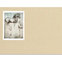 48"W x 34"H Fabric Wrapped Tack Board