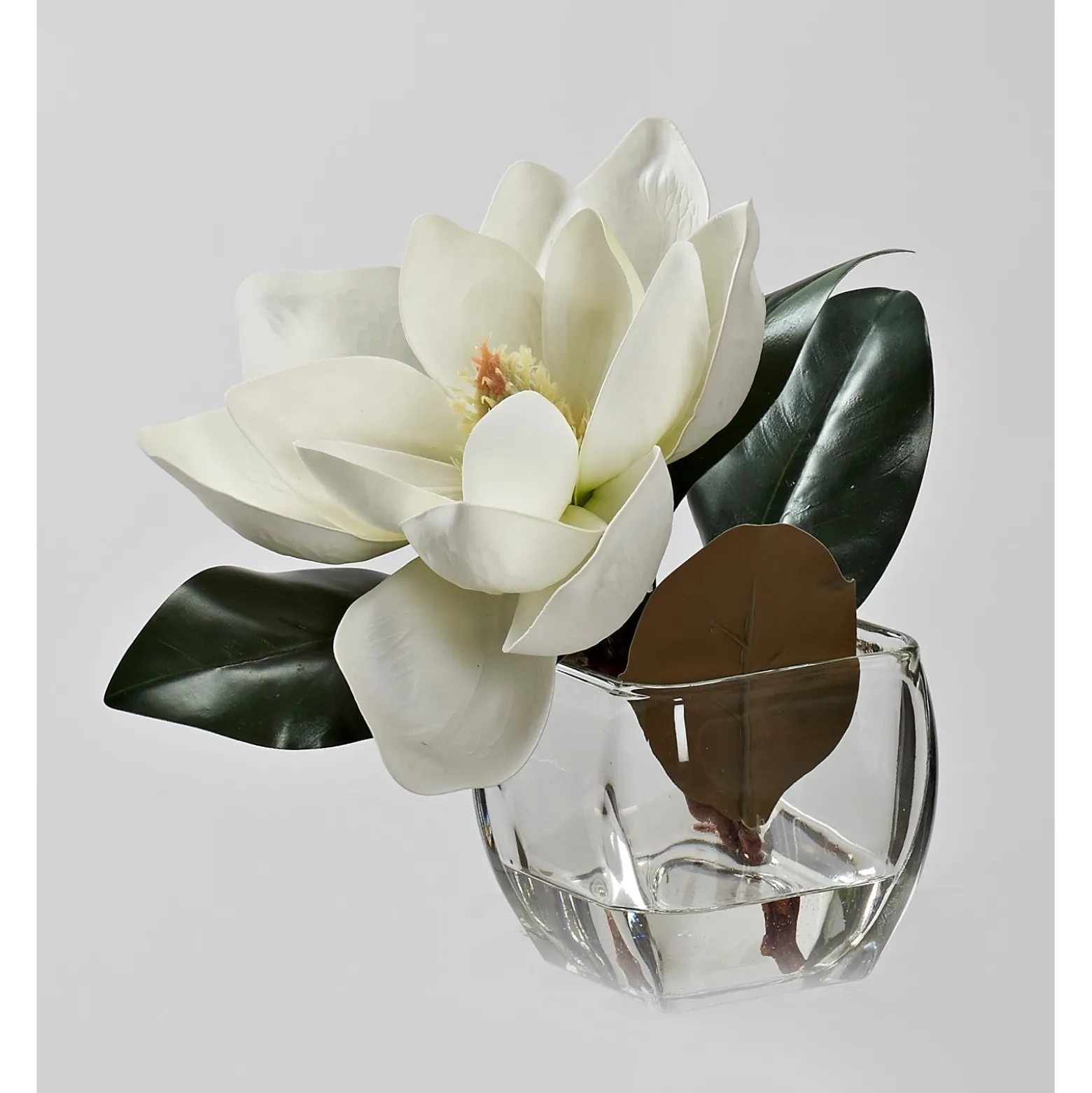 White Eva Magnolia Stem in Square Glass Vase