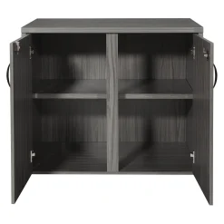 Wood Grain Laminate Storage Cabinet