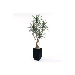 Yucca Tree in Metal Container - 8 Ft.